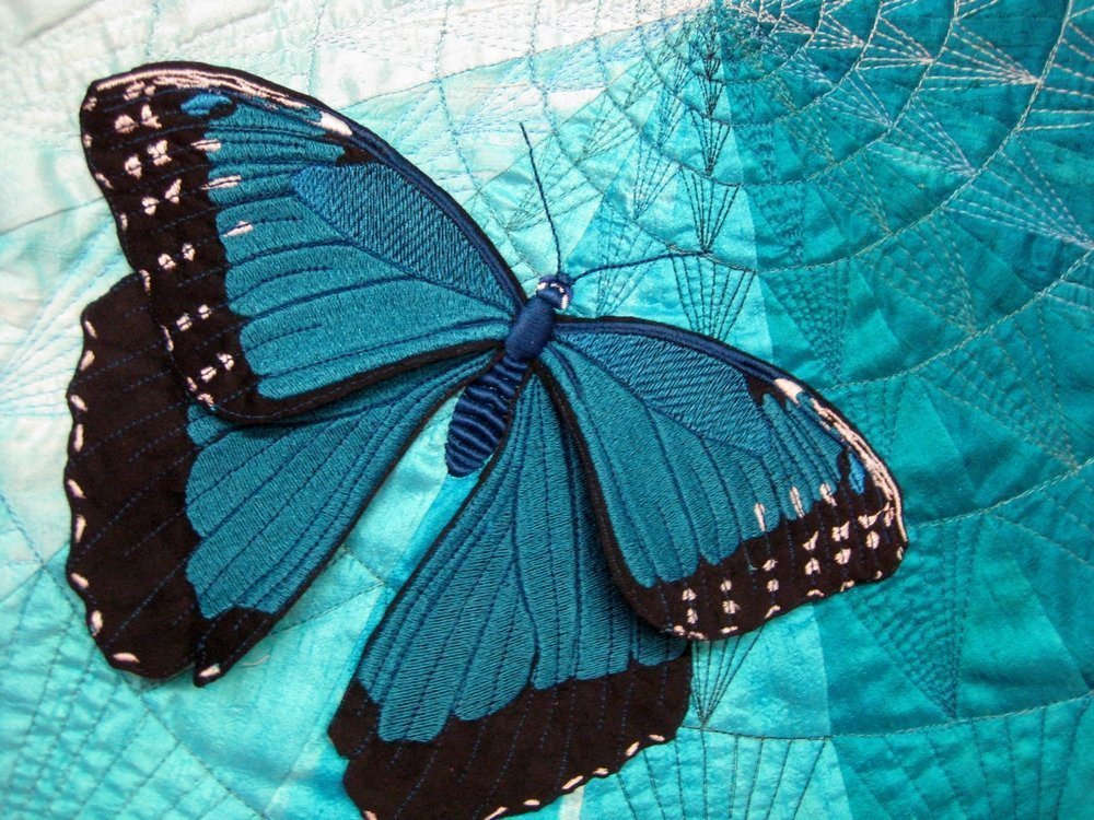 Barbara Lange (D): Monochrom XXI - Blue Morpho Butterfly, Detail