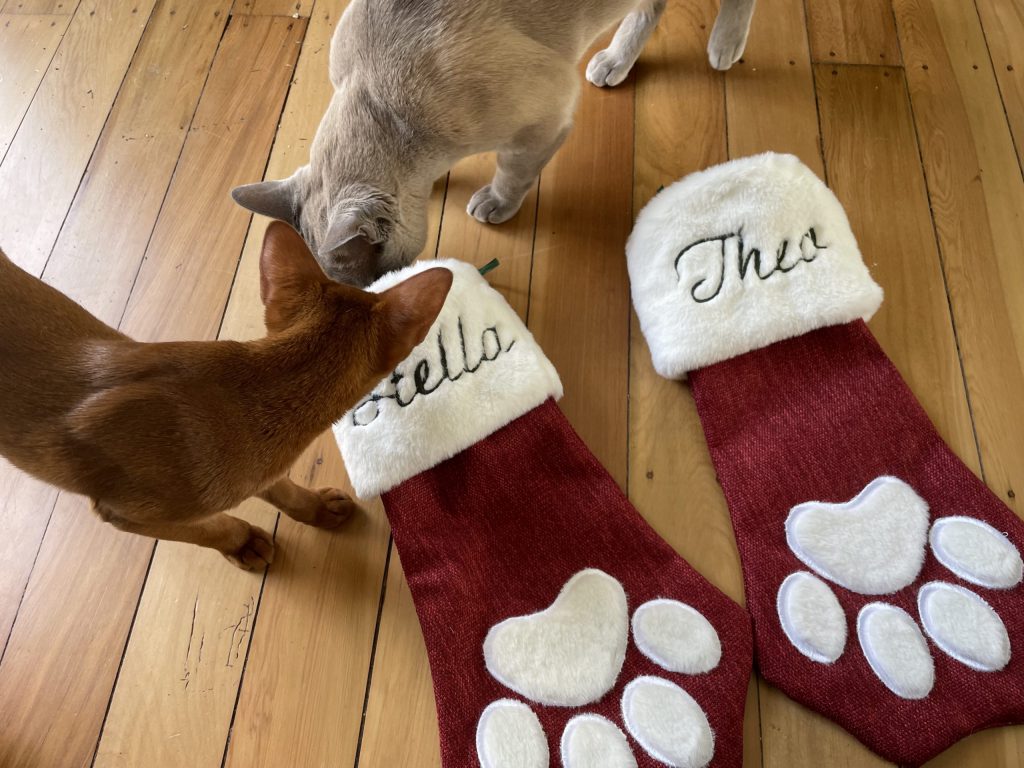 Weihnachtsstrümpfe für Katze und Hund