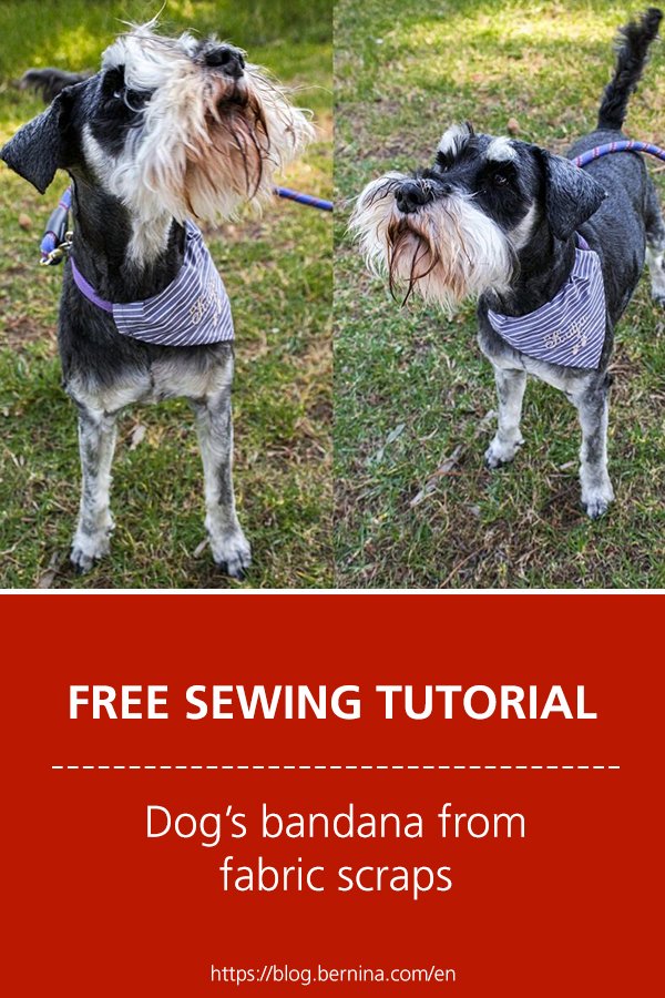 Free sewing tutorial: Turn fabric scraps into a bandana to gift your pet