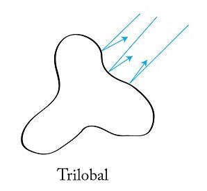 trilobal
