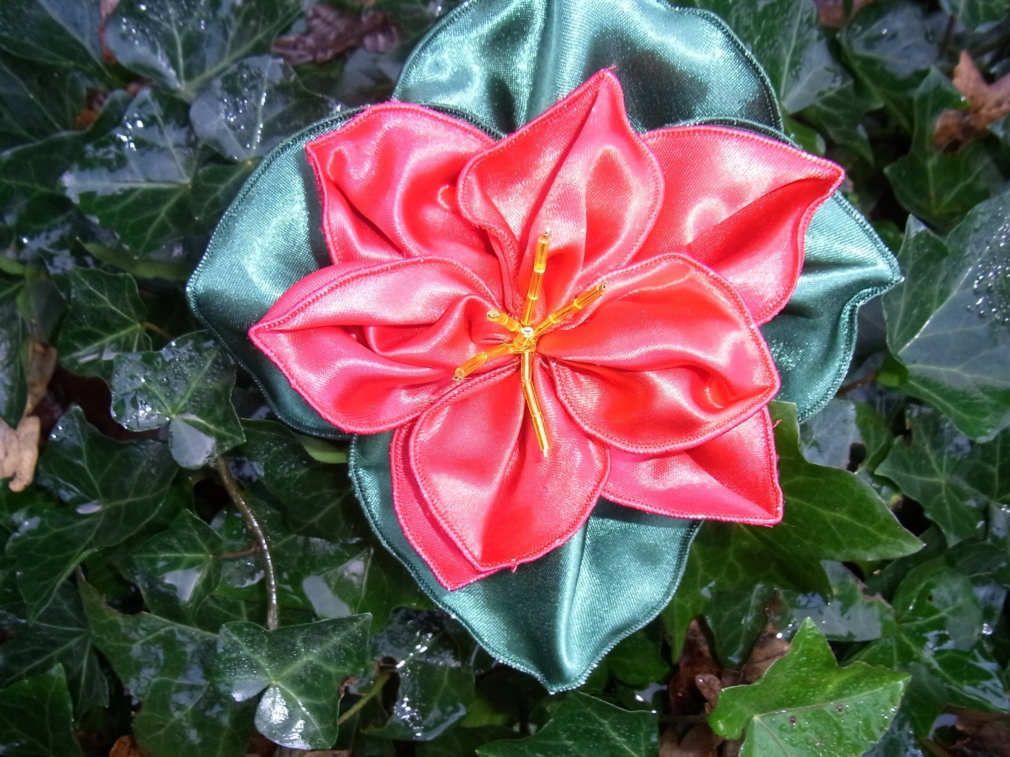 How to make beautiful poinsetta stars and flowers